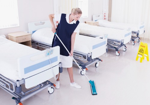 Health Facility Cleaning lady in East Peoria IL