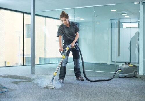 Company for Carpet Cleaning Normal IL