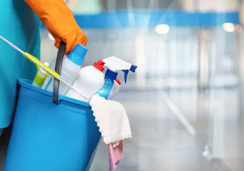 Professional Cleaners Washington IL